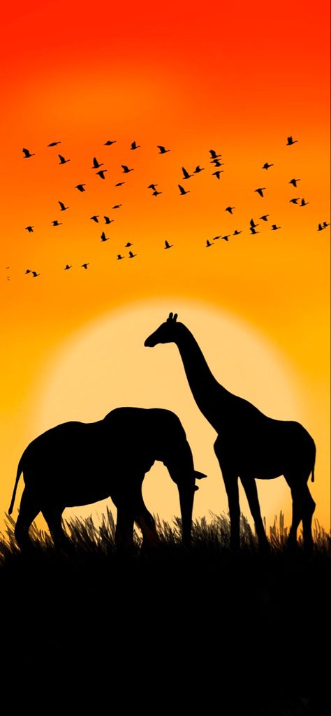 Wildlife silhouette #wildlife #silhouette #africa #lockscreen #screensaver #wallpaper #elephant #giraffe #sunset #sunrise #procreate #digitalart Giraffe Silhouette Painting, Wildlife Silhouette, Africa Sunset, Giraffe Silhouette, Class Board, Jungle Bedroom, Safari Sunset, Giraffe Drawing, Wild Animals Photography