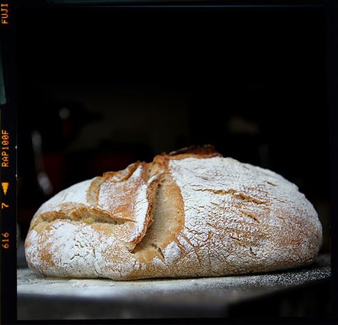 Sourdough Sourdough Loaf, Rustic Bread, Bread Serving, Tasting Table, Artisan Bread, White Bread, Loaf Bread, Food 52, Sourdough Bread