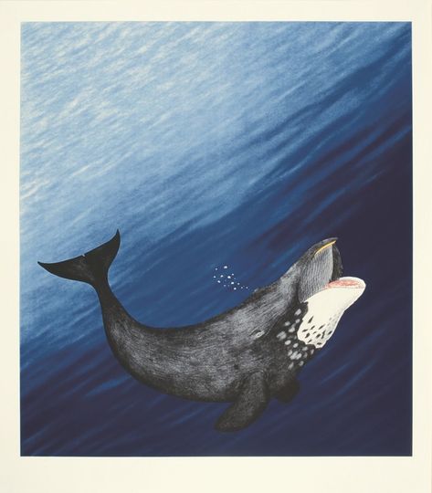 Arvik (Bowhead Whale) Bowhead Whale, Cape Dorset, Inuit Art, Canadian Art, Linocut, Drawing Reference, Drawings, Animals, Art