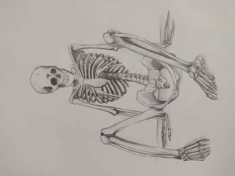 Front side of sitting skeleton pencil sketch Skeleton Sitting Criss Cross, Sitting Skeleton Tattoo, Skeleton Sitting In Chair Drawing, Skeleton Sitting Drawing, Skeleton Sitting Down, Skeleton Laying Down, Sitting Skeleton, Skeleton Reference, Skeleton Poses