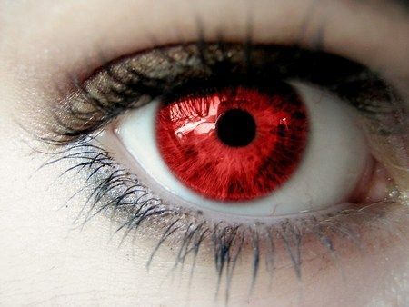 Red | What is your true eye color? - Quiz Red Contacts, Red Eye Makeup, Behind Blue Eyes, Eye Pictures, Eyes Wallpaper, Red Makeup, Aesthetic Eyes, Human Eye, Eye Art