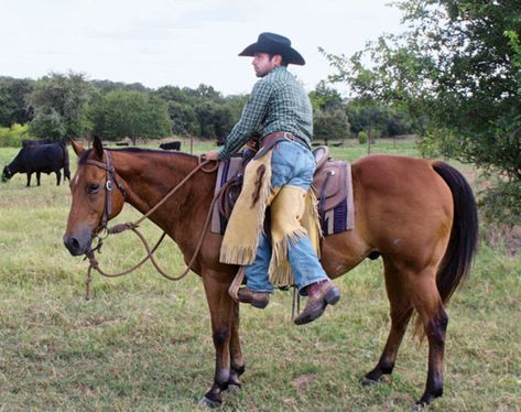 Mounting A Horse, Western Horse Riding, Trail Riding Horses, Steve Stevens, Horse Lessons, Horse Exercises, Horse Riding Tips, Equestrian Problems, Natural Horsemanship