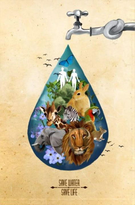 Water Conservation Poster, Save Water Drawing, Save Earth Drawing, Save Water Poster Drawing, Save Water Save Life, Save Water Poster, Earth Poster, Environment Painting, World Water Day