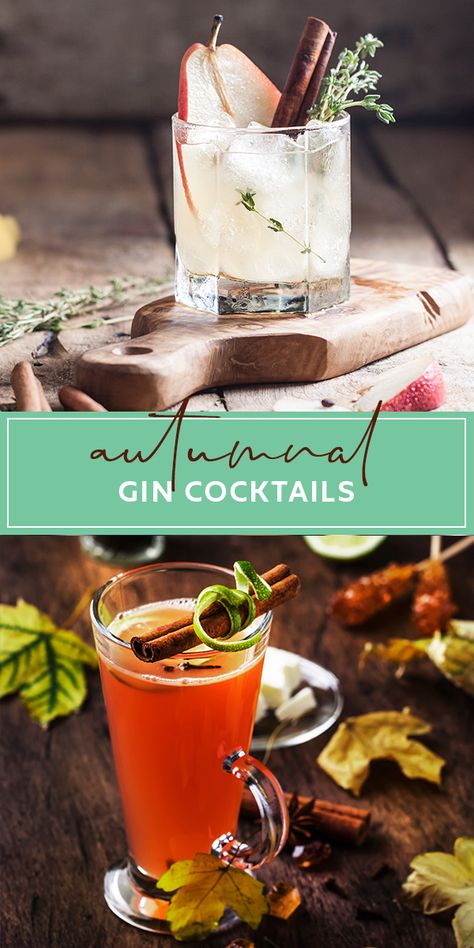 Gin Cocktails For Fall, Festive Gin Drinks, Fall Gin And Tonic Recipe, Spiced Gin Cocktail, Thanksgiving Cocktails Gin, Fall Drinks With Gin, Fall Gin And Tonic, Fall Cocktails With Gin, Hot Gin Drinks