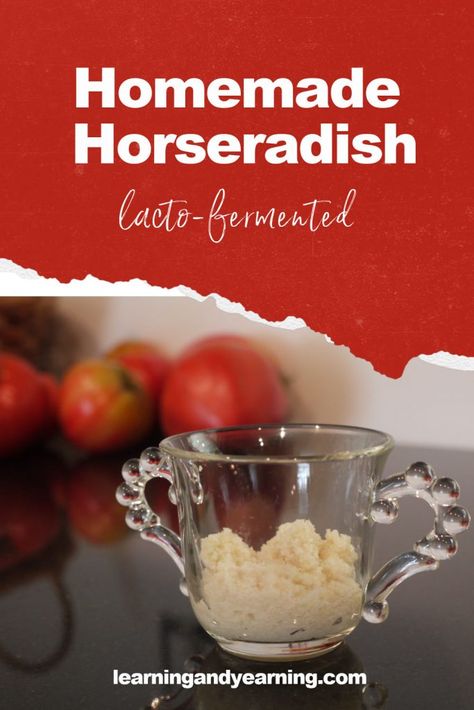 Homemade Lacto-Fermented Horseradish Homemade Horseradish, Preparedness Ideas, Lacto Fermentation, Homemade Rootbeer, Fermented Sauerkraut, Homemade Kombucha, Fermented Pickles, Fermented Vegetables, Homemade Yogurt