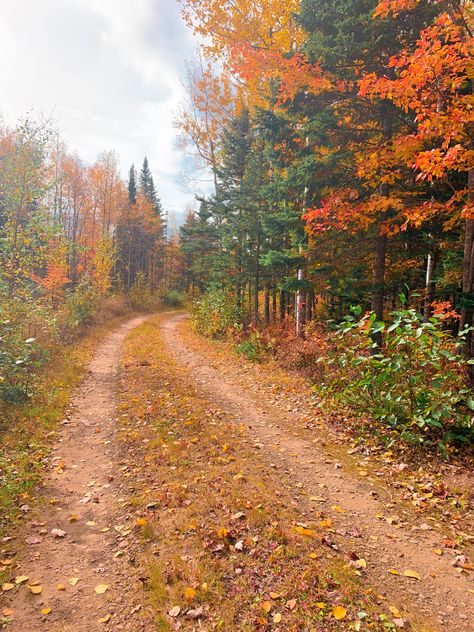 French Canadian Aesthetic, Canada Core Aesthetic, Whistler Canada Fall, Maple Leaf Aesthetic, Maple Aesthetic, Canadian Autumn, Canadian Aesthetic, Fall In Canada, Canada Autumn