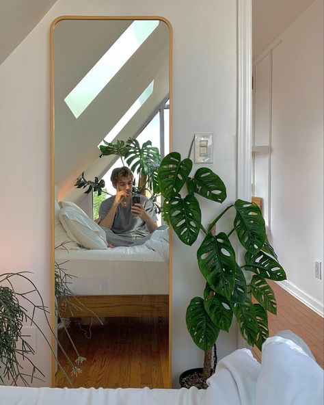 Plant Room Decor Bedroom, Room Plants Aesthetic, Bedroom Plants Aesthetic, Plants In Room, Mirror Room Decor, Plants For Bedroom, Plants In Bedroom, Bedroom With Plants, Plants Bedroom