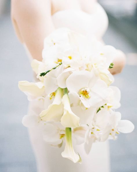 Our latest blog features some of our favorite bouquets! Click the link in our bio to read all about the most popular bouquet styles. 📸: @aprylannphoto Bouquet Styles, Freesia Flowers, Cascading Wedding Bouquets, Simple Wedding Flowers, Calla Lily Bouquet, Lily Bouquet, White Bridal Bouquet, Fort Worth Wedding, Interior Plants