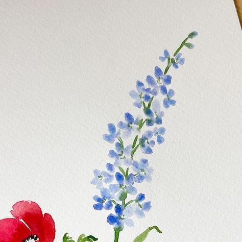 Carrie on Instagram: "Scrolling in my feed, I guess I’m not the only one who had this idea 😭😂😂. Happy 4th!!! #watercolorflorals #loosewatercolor #looseflorals #watercoloranemone #watercolorpoppy #delphinium #lilyofthevalley #wildflowers #4thofjuly #happy4th #redwhiteandblue #america #redwhiteandblueflowers #watercolorflowers #larkspur" Drawing Of Larkspur Flower, Larkspur Drawing July Birth Flowers, Larkspur Painting, Watercolor Delphinium, Larkspur Watercolor, Larkspur Line Art, Watercolour Delphiniums, Delphinium Flower Watercolor, Larkspur Flower Watercolor