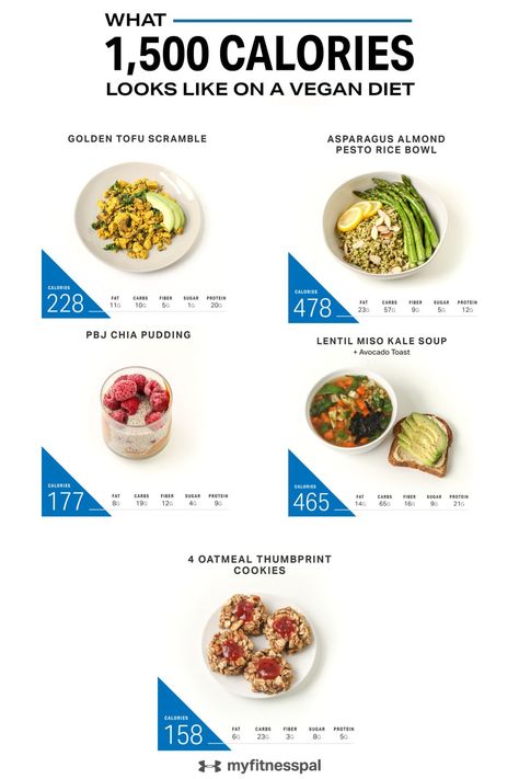 Research shows a vegan diet can help improve cholesterol levels, keep blood sugar levels stable and promote healthy weight maintenance. That’s why eating a more plant-based diet is a great option if you’re trying to eat healthier. To give you an idea of what a 1,500-calorie day filled with vegan food looks like, save this sample menu, complete with cookies for dessert. #myfitnesspal #vegandiet #plantbaseddiet #weightloss #weightmaintence #cleaneating #vegan #veganfoods #veganmenu #veganrecipes 1200 Vegan Calorie Meal Plan, Vegan 1000 Calorie Meal Plan, 1200 Vegan Meal Plan, 1000 Kcal Meal Plan, Calorie Deficit Meal Plan Vegan, Vegetarian 1500 Calorie Meal Plan, 1200 Calorie Plant Based Meal Plan, 1300 Calorie Meal Plan Vegetarian, Vegan 1500 Calorie Meal Plan