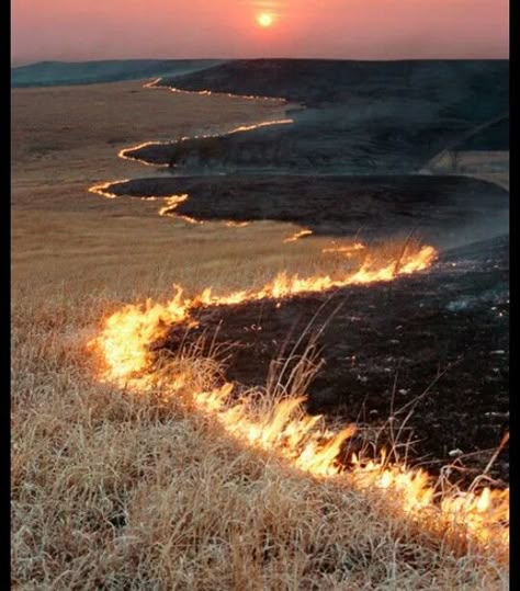 Prompt Sunbearer Trials Aesthetic, Burning Building Aesthetic, Golden Wasteland Sky, Apocalyptic Sunset, Outlander Dragonfly In Amber, Alphonse Elric, Abandoned Buildings, Shadowhunters, Look At You