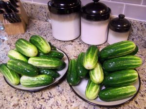 7 Day Sweet Pickles, 7 Day Pickles Recipe, Sweet Baby Gerkin Pickles, 7 Day Sweet Pickle Recipe, Gherkin Pickle Recipe, Dutch Meatloaf Recipe, Sweet Gherkin Pickle Recipe, Canning Syrup, Sweet Pickles Homemade