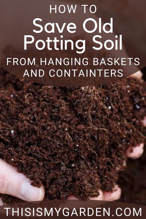 An up close photo of someone holding potting soil in their hands. Photo from thisismygarden.com How To Pot A Plant, Potting Plants For Beginners, Potting Soil Storage, Garden Soil Mix, Growing Cilantro, Potted Garden, Plant Containers, Garden Remedies, Planting Pot