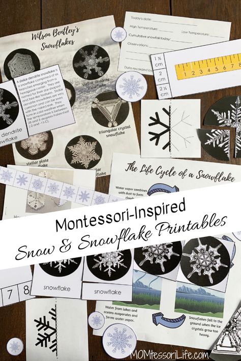 Life Cycle Of A Snowflake Free Printable, Winter Science Activities Preschool, Life Cycle Of A Snowflake, Kindergarten Invitations, Snowflake Printables, Winter Science Activities, Snowflake Bentley, Winter Science, Classroom Science