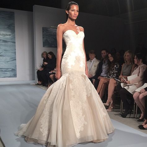 Mark Zunino, Bridal Runway, Marriage Material, Dress Couture, Gorgeous Wedding Dress, Wedding Dress Couture, Dreamy Dress, New Wedding Dresses, Yes To The Dress