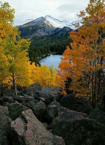 Bear lake, Longs peak, Aspen trees USA Longs Peak, Mesa Verde National Park, Black Dagger Brotherhood, Visit Colorado, Mountain Lakes, Last Ride, Aspen Trees, Colorado Travel, Bear Lake