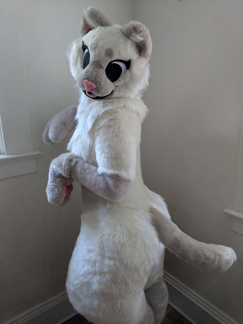 Sylveon Fursuit, Plush Suit Fursuit, Border Collie Fursuit, Monkey Fursuit, Semi Realistic Fursuit, Fursuit Outfits, Penguin Fursona, Ferret Fursuit, Screech Fursuit