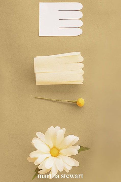 White Crepe Paper Flowers, Diy Fleur, Săpunuri Handmade, How To Make Crepe, Daisy Daisy, Diy Flores, Paper Daisy, Fleurs Diy, Mexican Flowers