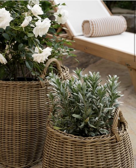 Plants In Baskets Indoor, Backyard Play Spaces, Front Door Baskets, Screened Porch Decorating, Plants In Baskets, Large Indoor Plants, Small Indoor Plants, Wicker Planter, Backyard Fireplace