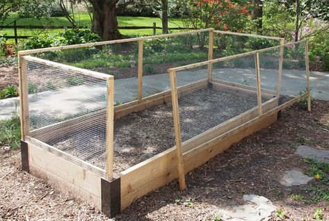 Chicken-wire fence panels for garden bed | Marginalia Raised Bed Fencing, Decorative Raised Garden Beds, Raised Garden Bed Corners, Diy Raised Garden Bed, Chicken Wire Fence, Diy Garden Fence, Deer Fence, Vegetable Garden Raised Beds, Building A Raised Garden