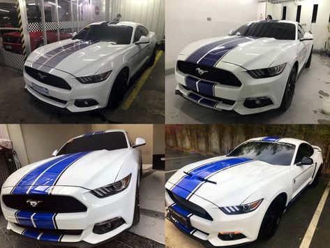 Mustang recommended White Blue Racing Stripes Stickers Mustang Racing Stripes, White Mustang, Super Snake, Gt 500, Shelby Gt, White Car, Defender 90, Racing Stripes, Husky Dogs