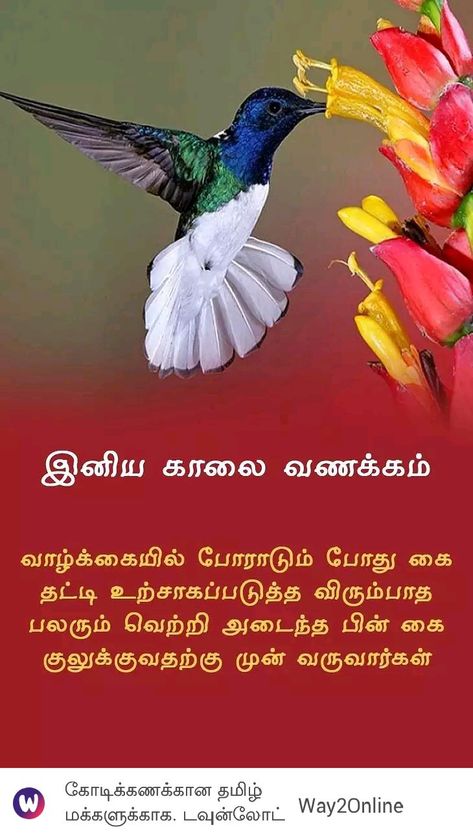 Tamil Motivational Quotes Good Morning, Motivational Quotes Good Morning, Successful Quotes, Quotes Good Morning, Tamil Motivational Quotes, Amazing Birds, Good Morning Beautiful Quotes, Good Morning Friends Quotes, Tamil Quotes