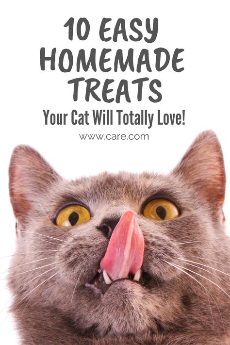 Diy Cat Calming Treats, Diy Lickable Cat Treat, Homemade Treats For Cats, Organic Cat Treats, Homemade Cat Treats Recipes, Diy Cat Treats, Homemade Cat Treats, Kitty Treats, Pet Recipes