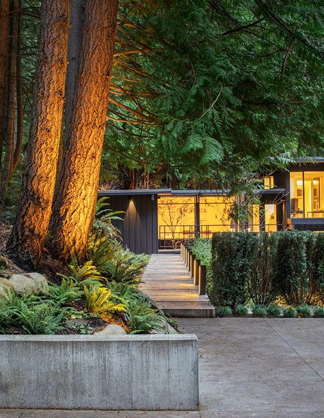 Landscape Lighting Design, Concrete Walkway, Modern Front Yard, Forest Landscape, Garden Structures, Cool Landscapes, Autumn Garden, Landscape Lighting, Lighting Ideas