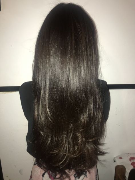 Long Layer Dark Brown Hair, Long Black Brown Hair, Dark Brown Long Layers, Hair Dye Inspo For Black Hair, Dark Brown Thick Hair, Feathered Layered Haircut, Dark Brown Hair Light Skin, Dark Brown Hair Layers, Long Dark Hair Aesthetic