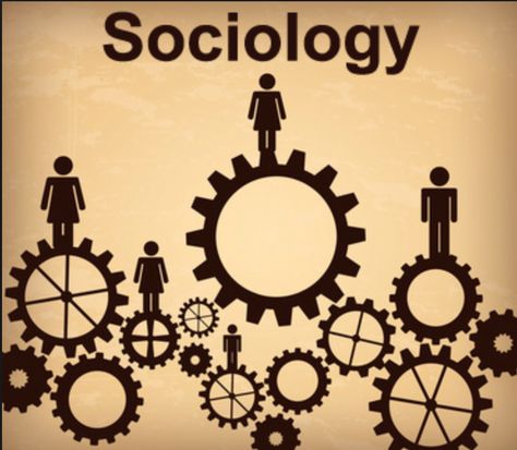 12 Signs You're A Sociology Major What Is Sociology, Sociology Major, Forensic Anthropology, Physics Classroom, Social Capital, Third Grade Science, Shri Ram Photo, Desain Signage, Vintage Background