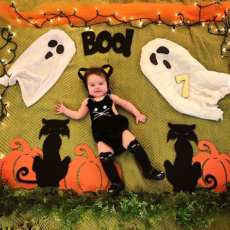 Halloween Baby Photos, Photoshoot Boy, Month Photos, Baby Boy Newborn Photography, Baby Milestones Pictures, Boy Halloween, Monthly Baby Pictures, Monthly Baby Photos, Baby Pictures Newborn