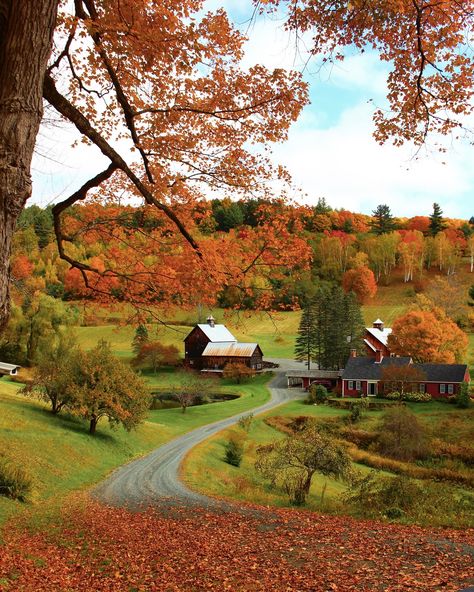 A perfect autumn day in Vermont 🍁 Some of my favorite photos I took of Sleepy Hollow Farm near Woodstock, VT a few years ago 🍂 Follow for more autumn in New England inspiration 🍂 . . . . . 🏷️ #autumnaesthetic #autumn #autumnleaves #autumnvibes #autumnmood #septembervibes #bermonths #autumnweather #september #autumncolors #fallvibes #octobermood #cozyseason #cozycore #cozystyle #cozyaesthetic #trending #fallvibes🍁 #autumnfeels #autumnvibes🍁 #cozyvibes #fallcolors #fallfoliage #cozymood #cozyh... Sleepy Hollow Vermont, Autumn On The Farm, New England Woods, Autumn In New England, New England Fall Aesthetic, Autumn Day Aesthetic, Fall In Vermont, New England Farm, New England Autumn