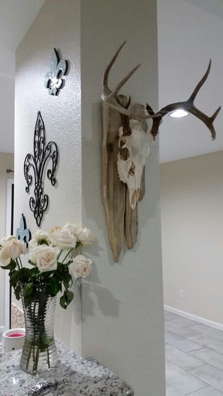 Horn Mount Ideas, European Deer Mount Decor, European Elk Mount Decor, Whitetail European Mount Ideas, European Mounts, Euro Mount, Euro Mount Ideas, European Mount Decor, European Deer Mount