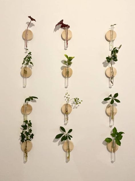 DIY Plant Propagation Stations | Apartment Therapy Test Tubes Plants, Test Tube Propagation Wall Diy, Test Tube Vase Wall, Test Tube Terrarium, Plants In Test Tubes, Test Tube Propagation Wall, Dollar Tree Propagation Station, Test Tube Wall Decor, Test Tube Diy