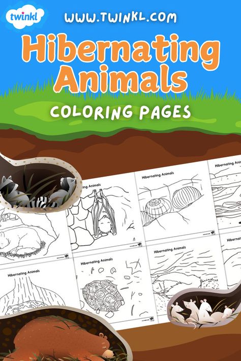 Hibernating Animals Coloring Pages Animals That Hibernate Crafts, Hibernating Animals Crafts, Hibernating Animals Preschool, Hibernating Animals, Animals That Hibernate, Winter Wildlife, Preschool Play, Animals Coloring Pages, 2025 Spring