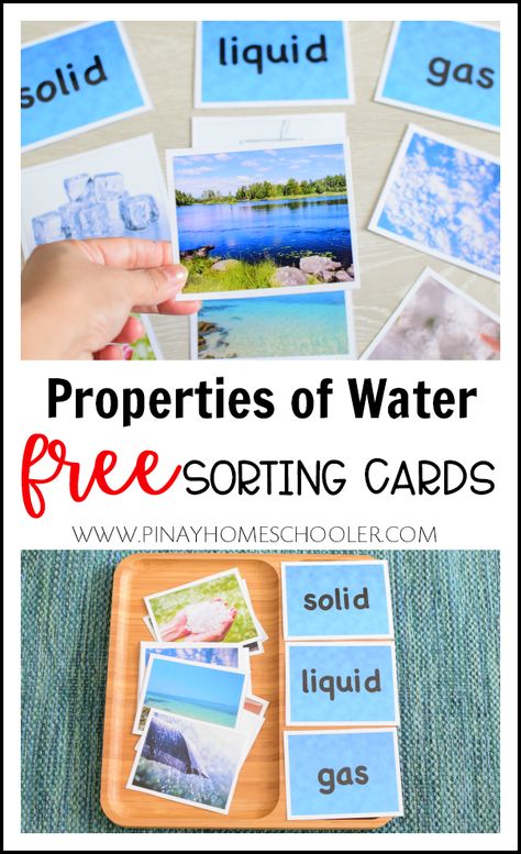 FREE Properties of Water Sorting Cards #science #freeprintables #printables #montessori #montessoriathome #preschool #kindergarten #gradeschool #homeschool Water In Different Forms, Go Together Cards Montessori, Water Cycle Montessori, Learning About Water Preschool, Montessori Water Activities, Water Preschool Activities, Water Kindergarten, Water Preschool, Kindergarten Science Curriculum