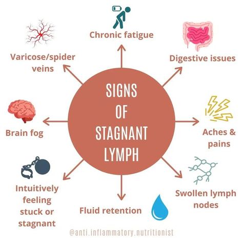 Manual Lymph Drainage, Lymph Drainage Massage, Lymph Fluid, Lymph Massage, Lymph System, Improve Nutrition, Lymph Drainage, Fluid Retention, Lymph Nodes