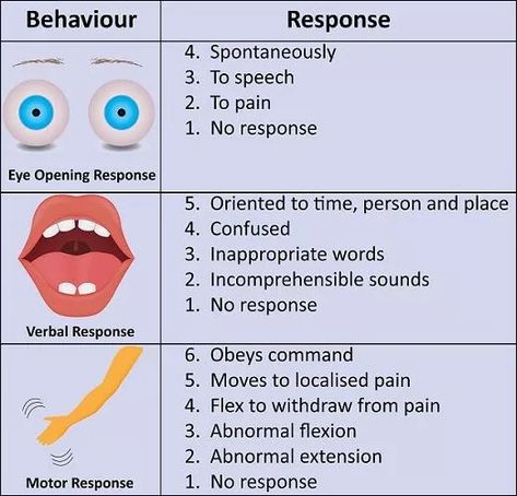 Glasgow Coma Scale - The Definitive Guide | Biology Dictionary Future Paramedic, Neuro Nursing, Nursing Officer, Nurse Outfits, Nursing School Studying Cheat Sheets, Glasgow Coma Scale, Medical Infographic, Ipad Pro Notes, Emt Study