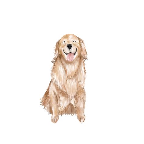 Premium Vector | Golden retriver watercolor soft Sketch Of Golden Retriever, Painting Of Golden Retriever, Golden Retriever Watercolor Painting, Golden Retriever Print, Watercolor Golden Retriever, Dog Widget, Corgi Watercolor, Golden Retriever Doodle, Golden Drawing