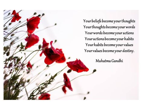 Thinking about the power of thoughts, words and tending to the Garden of our Minds ... In Flanders Fields Poem, Flanders Fields Poem, In Flanders Fields, John 10 10, Flanders Field, Corrie Ten Boom, Daily Verses, Mindfulness Activities, Message Of Hope