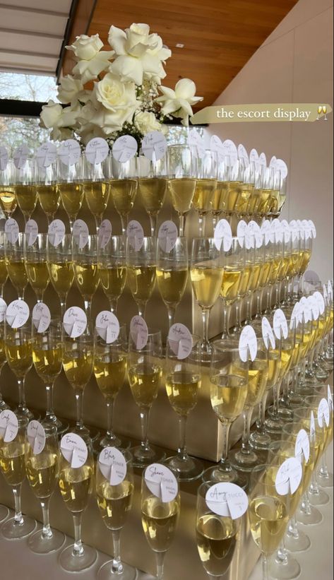 Alternative to the stacked champagne display, since the stacked makes me nervous about falling lol Champagne Tower Stand, Diy Champagne Tower, Champagne Display Wedding, Champagne Display, Wedding Strawberries, Drink Display, Sparkling Juice, Champagne Drinks, Drink Stand