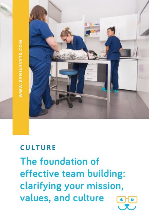 "In running my practice for more than 25 years, I've always felt that my clear mission, core values, and culture were an important factor in my success; but I've been surprised at how few veterinary practice owners focus on this." Dr. Michele Drake Learn what steps to take today for better veterinary team building within your practice. #geniusvets #dvm360 #veterinaryculture #vetmed #veterinaryteam #veterinarypractice Staff Meetings, Vet Med, Corporate Culture, State Of The Union, Mission Statement, Core Values, The Foundation, Social Life, Support Team