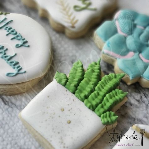 27 Likes, 2 Comments - Stephanie Arredondo (@stephaniesweetchef) on Instagram: “I can't get enough of this succulents set! . . . . . . . . . . . . . . . . . . #weddingcookies…” Emoji Cookie, Almond Sugar Cookies, Cookie Pictures, Food Allergens, Cookie Time, Perfect Cookie, Flower Cookies, Cookie Gifts, Cut Out Cookies