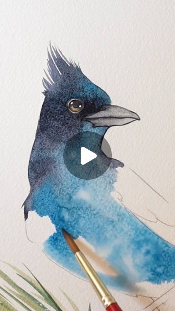 Jay Drawing, How To Paint A Blue Jay, Stellar Jay Painting, Stellers Jay, Watercolor Bluejay, Watercolor Birds Tutorial, Kingfisher Watercolor Painting, Budgie Watercolor, Birds Watercolor