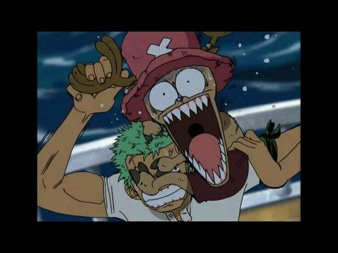 Zoro and Chopper. Its adorable how Chopper always clings to Zoro when he is scared Zoro And Chopper Icon, Zoro Funny Icon, Zoro And Chopper Cute, Chopper And Zoro One Piece, Zoro X Chopper, Chopper Fanart, Strawhats Pirates, Zoro And Chopper, Chopper Zoro