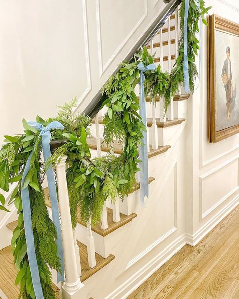 Amy Studebaker Design on Instagram: “Eucalyptus + Cedar + Velvet Blue Ribbon = A very happy me! (Follow my stories to see more of the Christmas decor in my home!…” Amy Studebaker, Christmas Garland On Stairs, Greenery Wall Decor, Christmas Stairs, Christmas Staircase, Velvet Bows, Happy Me, Christmas Greenery, Christmas Inspo