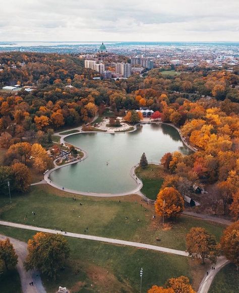 Montreal Travelers on Instagram: “Just imagine waking up to this.😍 • 📸: @ray26393 • #montreal #canada #winter #snowday #snow #morningmotivation #morningvibes #morningwalk…” Mount Royal Park Montreal, Mount Royal Montreal, Montreal Photography, Ontario Photography, Vancouver Travel, Best Travel Destinations, Canada Photography, Mount Royal, Royal Park