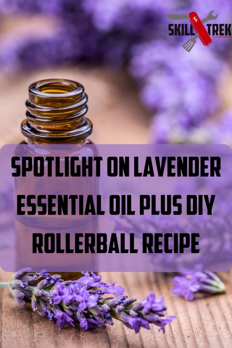 Spotlight on Lavender Essential Oil W/DIY Rollerball Recipe Lavender Rollerball Recipe, Essential Oil Rollerball Recipes, Lavender Meaning, Roman Chamomile Essential Oil, Lavender Recipes, Essential Oil Roller Balls, Cedarwood Essential Oil, Chamomile Essential Oil, Lavender Plant