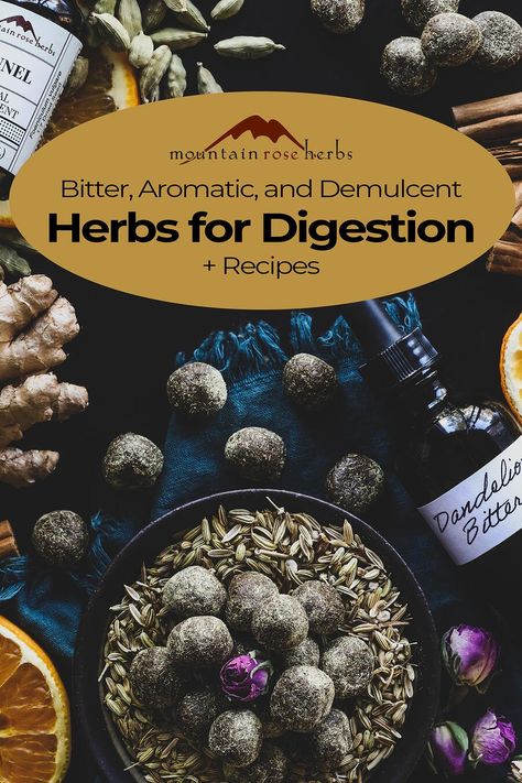 Healthy Digestion Recipes, Digestion Recipes, Herbs For Digestion, Rose Herb, Herbal Properties, Herbal Living, Herb Diy, Digestive Bitters, Cold Remedy