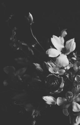 The mind is a dark and twisted place. No mind is the same, therefore… #shortstory #Short Story #amreading #books #wattpad Flowers In A Vase, Dogwood Flowers, Black And White Photograph, Black And White Flowers, Beautiful Flowers Garden, Chiaroscuro, Colorful Garden, Black And White Pictures, Exotic Flowers